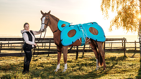 Nouvelle génération de magnétothérapie vétérinaire Biomag